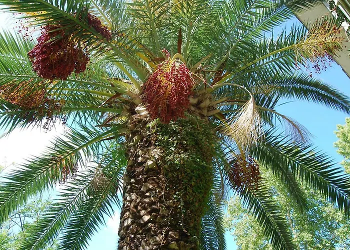 Roma EurBed and Breakfast